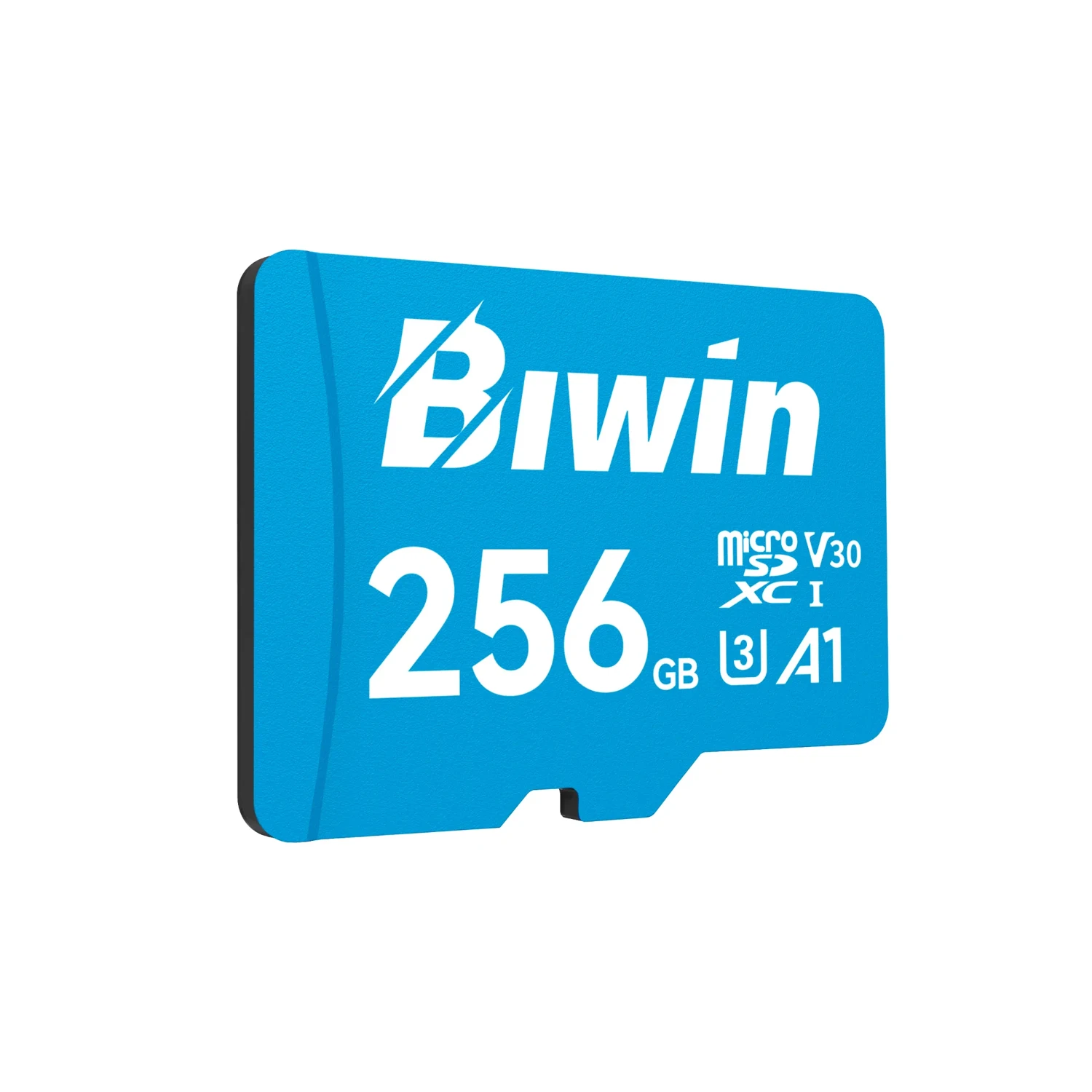 BIWIN MICROSD MS100 256GB UHS-I