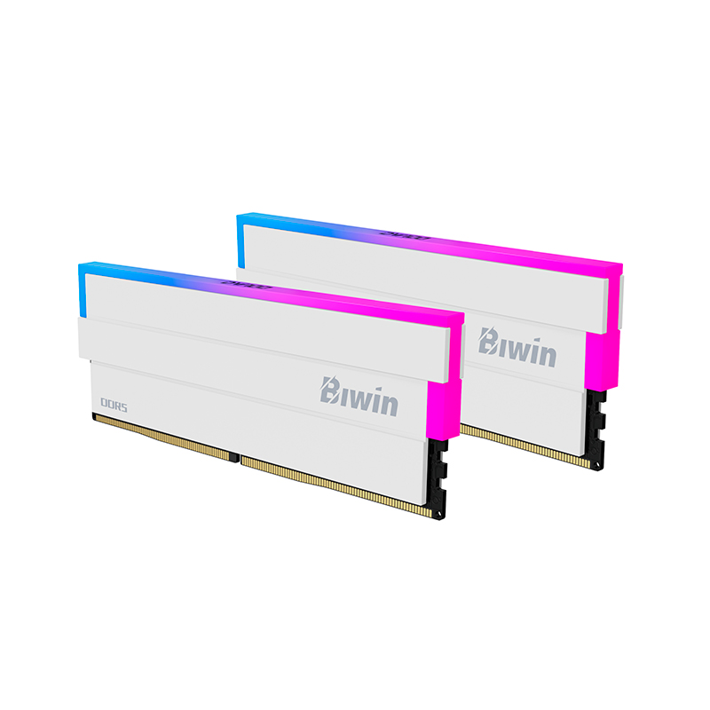 Memoria RAM Biwin Opal DW100 RGB · 32 GB (2x16 GB) · DDR5 6000 MHz · CL28