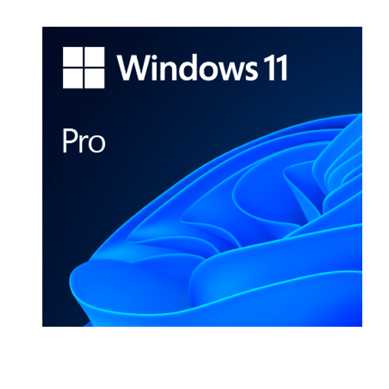 Windows 11 Pro · 64 bits · Español LATAM · OEM DVD